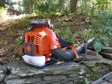 Load image into Gallery viewer, SALE BLUESAWS - Holzfforma FL8500 Backpack Blower