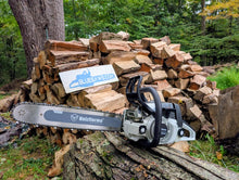 Load image into Gallery viewer, BLUESAWS - Holzfforma G260 PRO (Powerhead only)