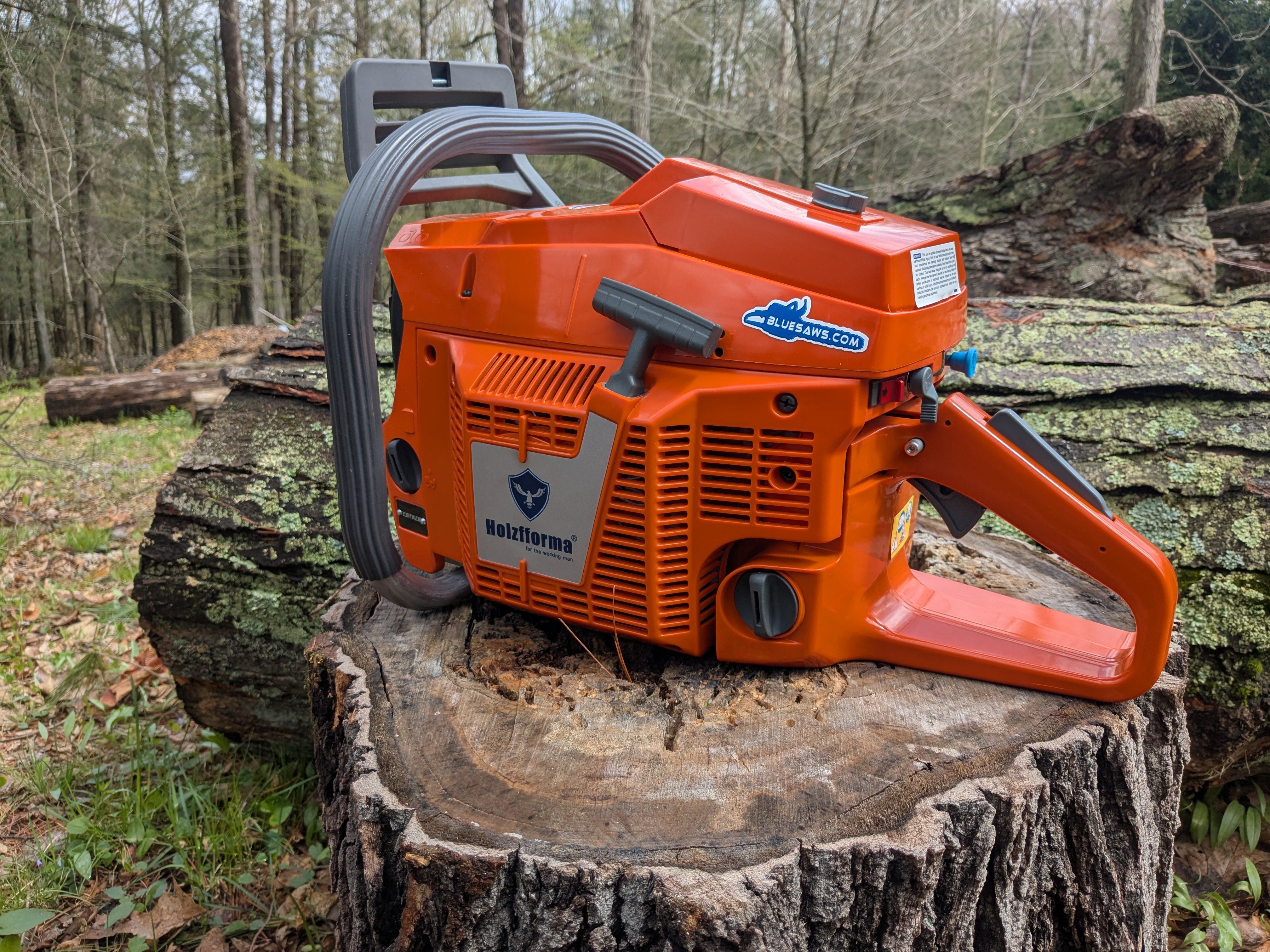 Bluesaws 118.8cc Holzfforma G3120 Gasoline Chainsaw Power Head
