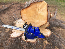 Load image into Gallery viewer, Holzfforma G660 (Powerhead only)